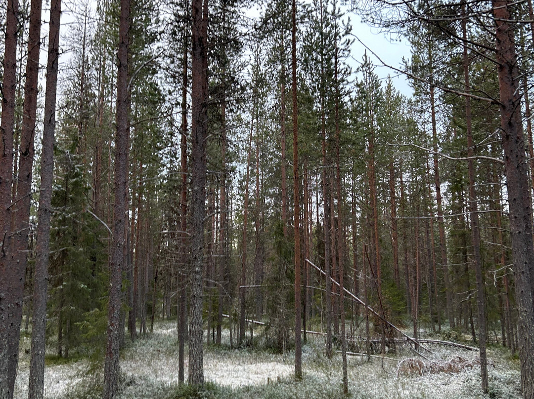 Lapin Saaga Icelandic Horse Stable in Levi-Sirkka必去景点