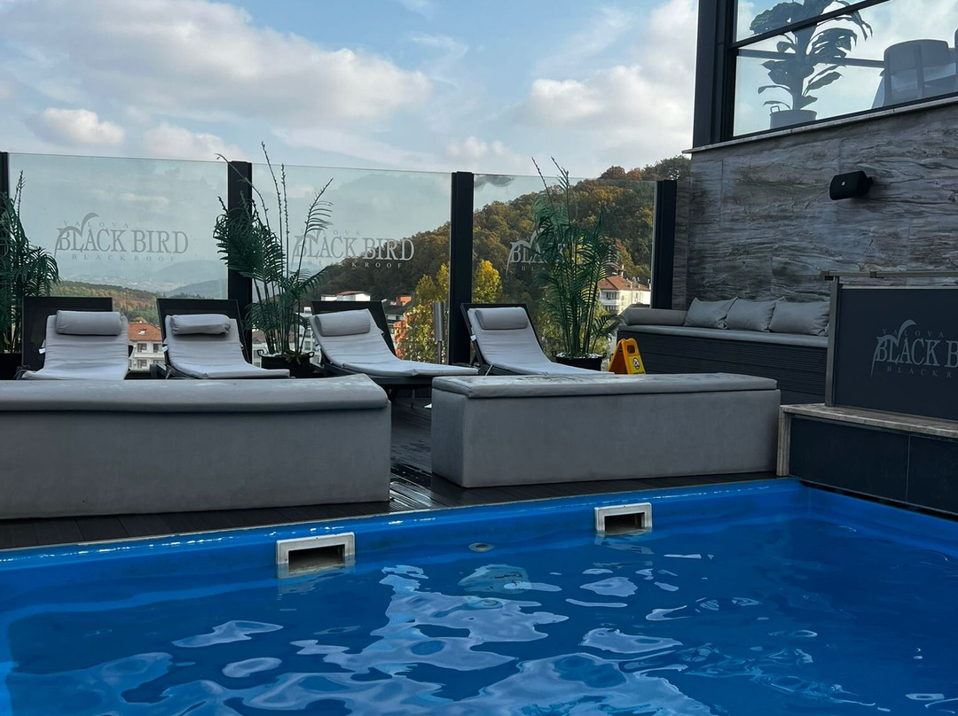 Black Bird Thermal Hotel & Spa主图