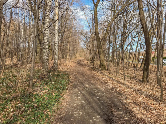 Trasa Edukacji Ekologicznej-Porabka必去景点