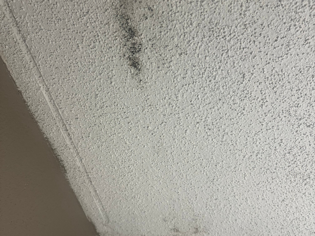 Red Roof Inn Tinton Falls-Jersey Shore主图