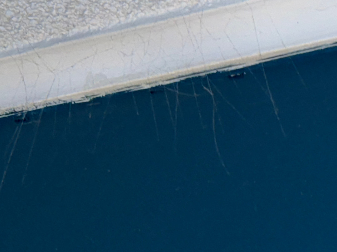 The Wandlyn Inn主图