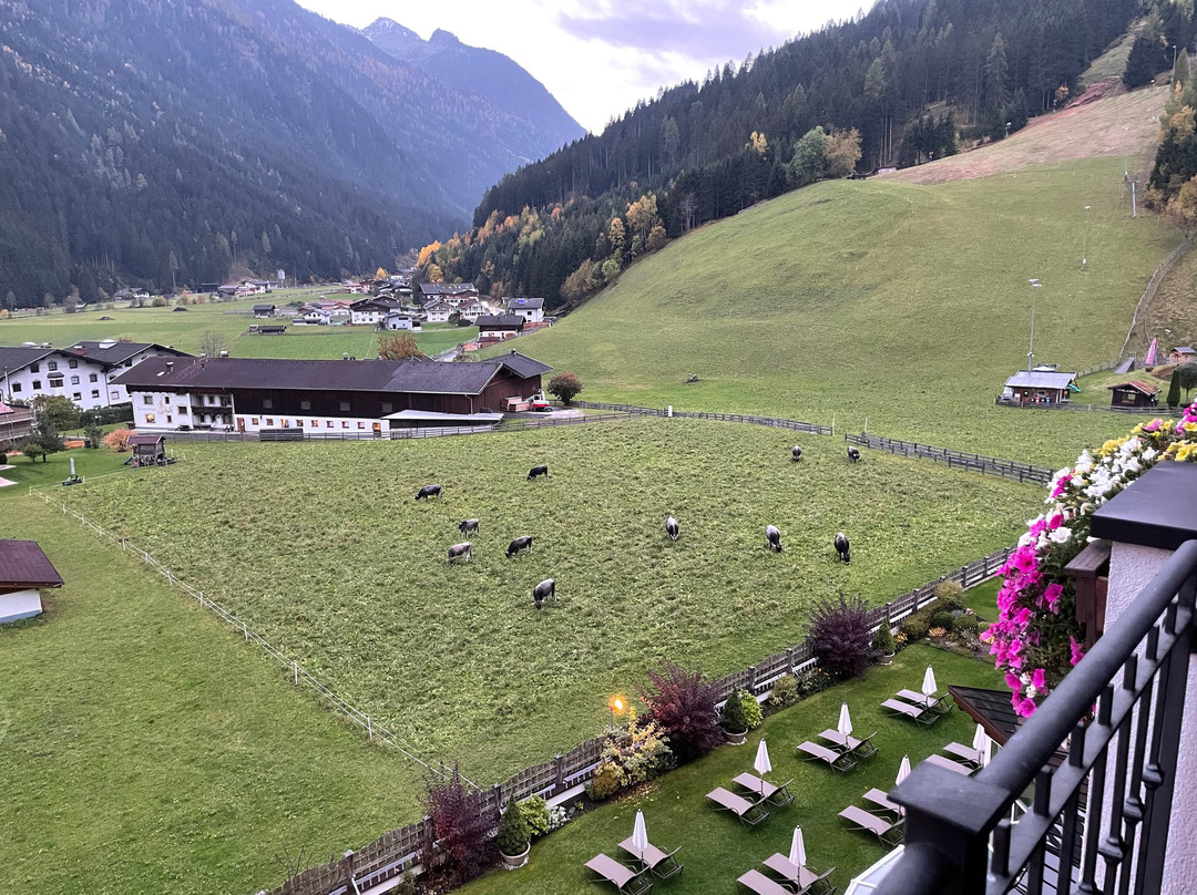 Wellness & Relax Hotel Milderer Hof主图