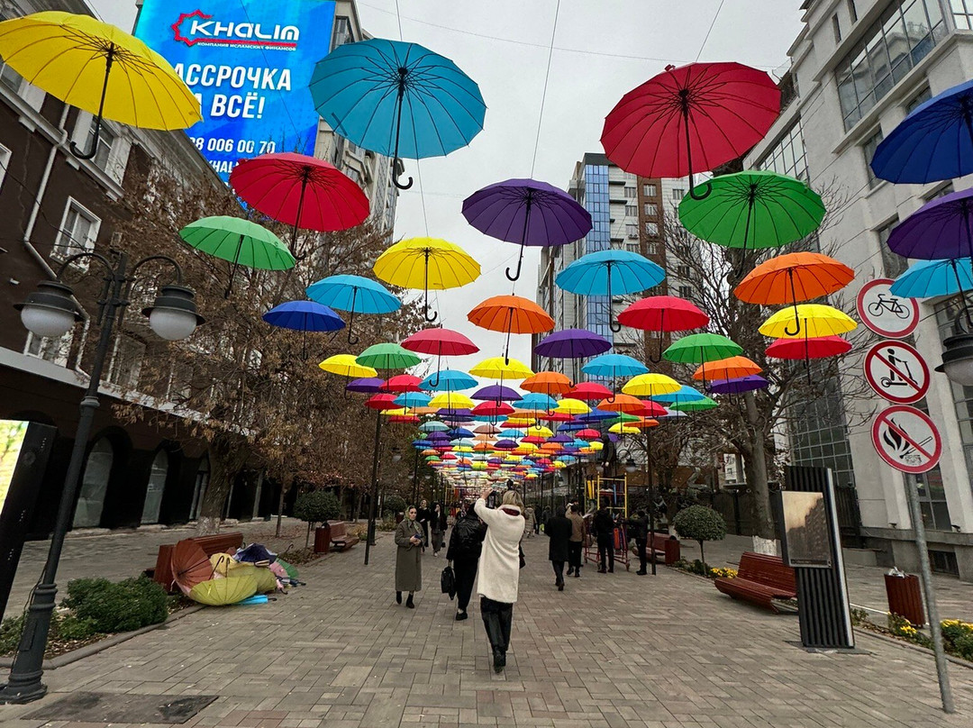 Makhmud Esambayev Avenue景点图片