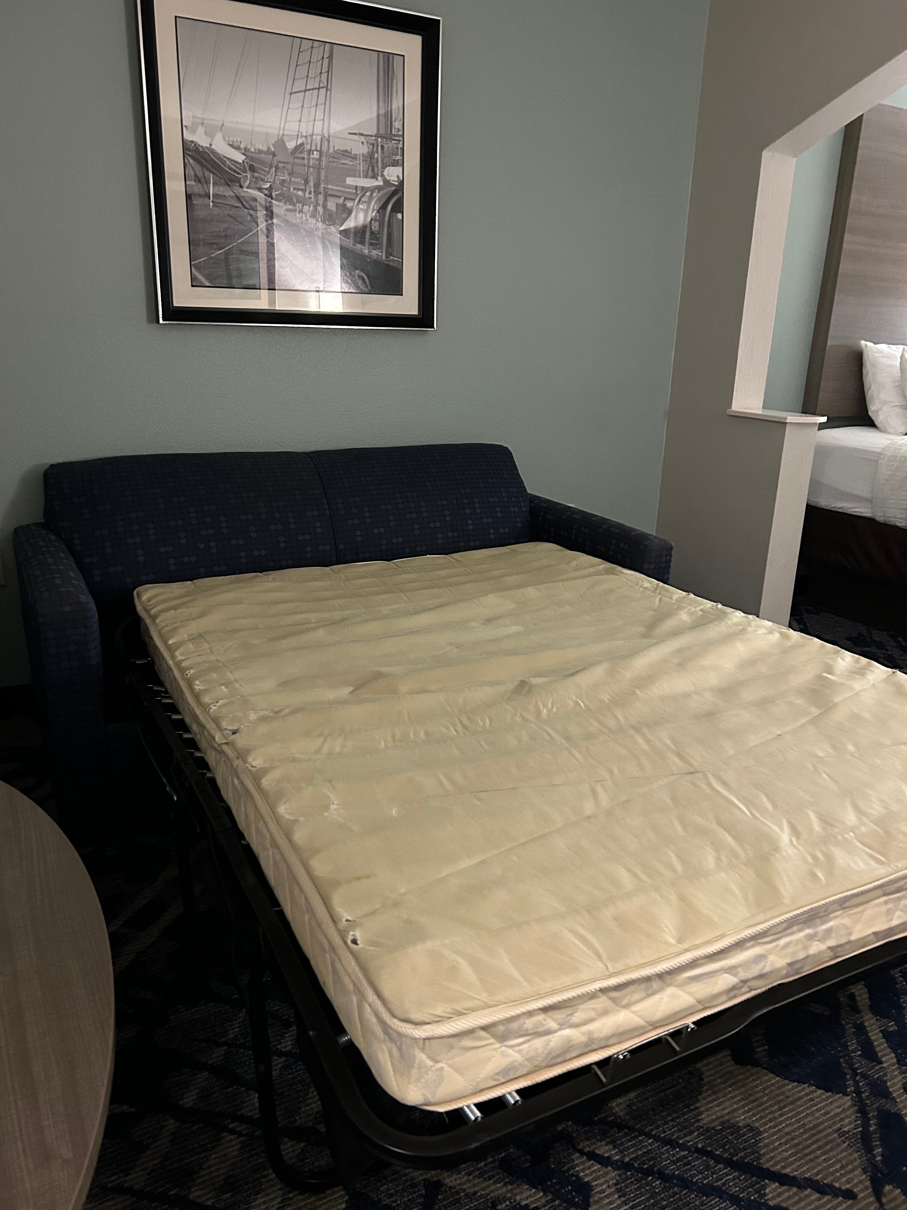 Best Western Savannah Airport Inn & Suites-官方