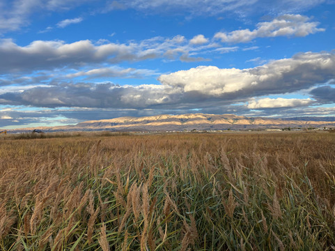 Alviso Marina County Park-Alviso必去景点