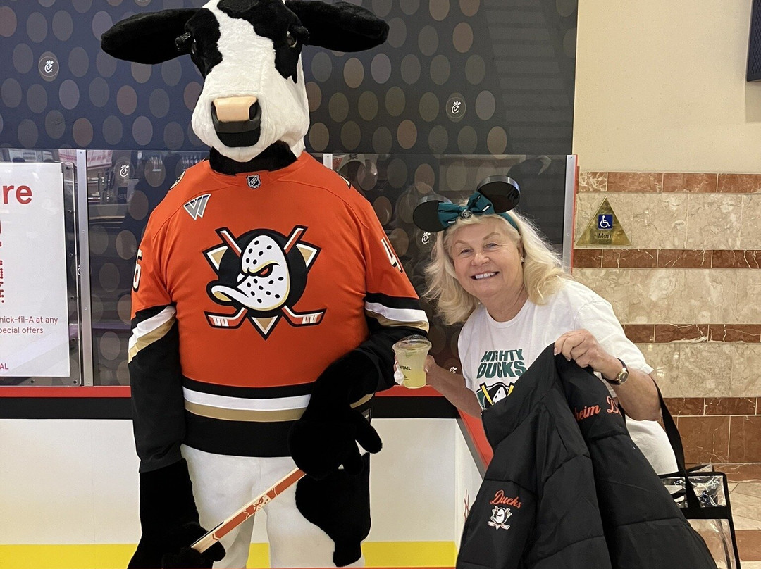 Honda Center-阿纳海姆必去景点