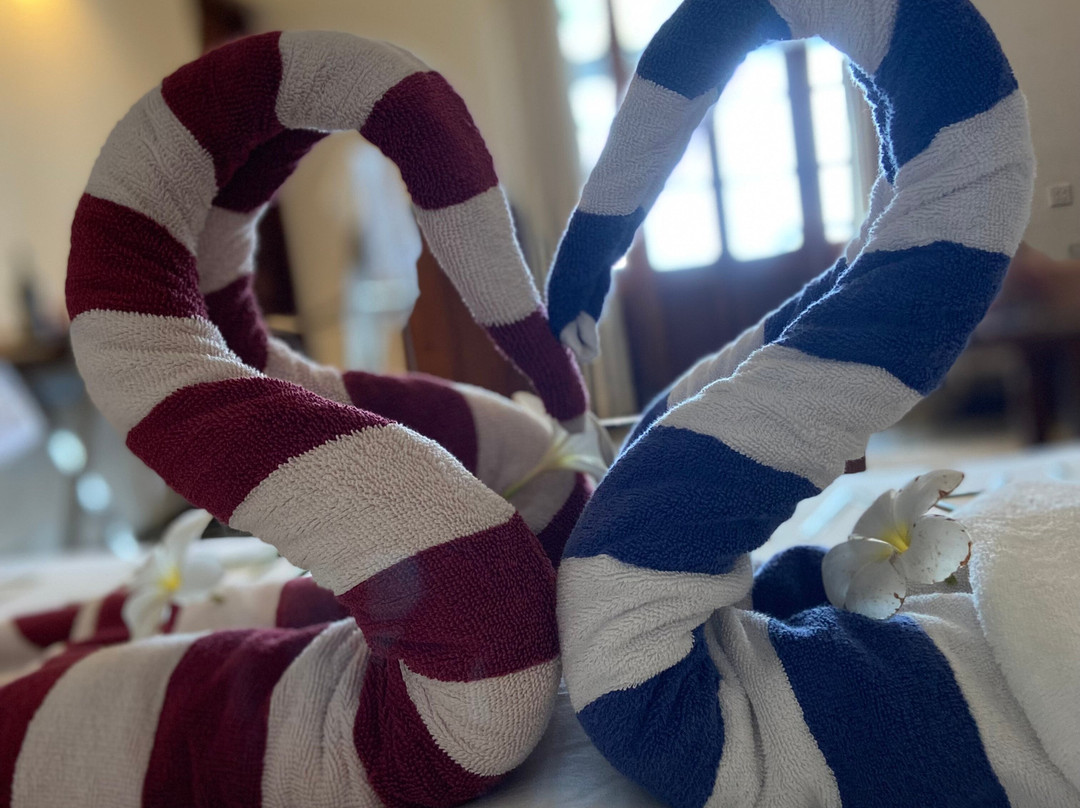 树的弗兰吉帕尼酒店主图