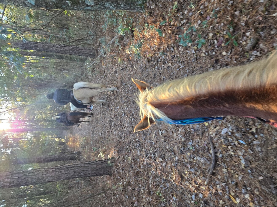 County Line Horse Trail Rides