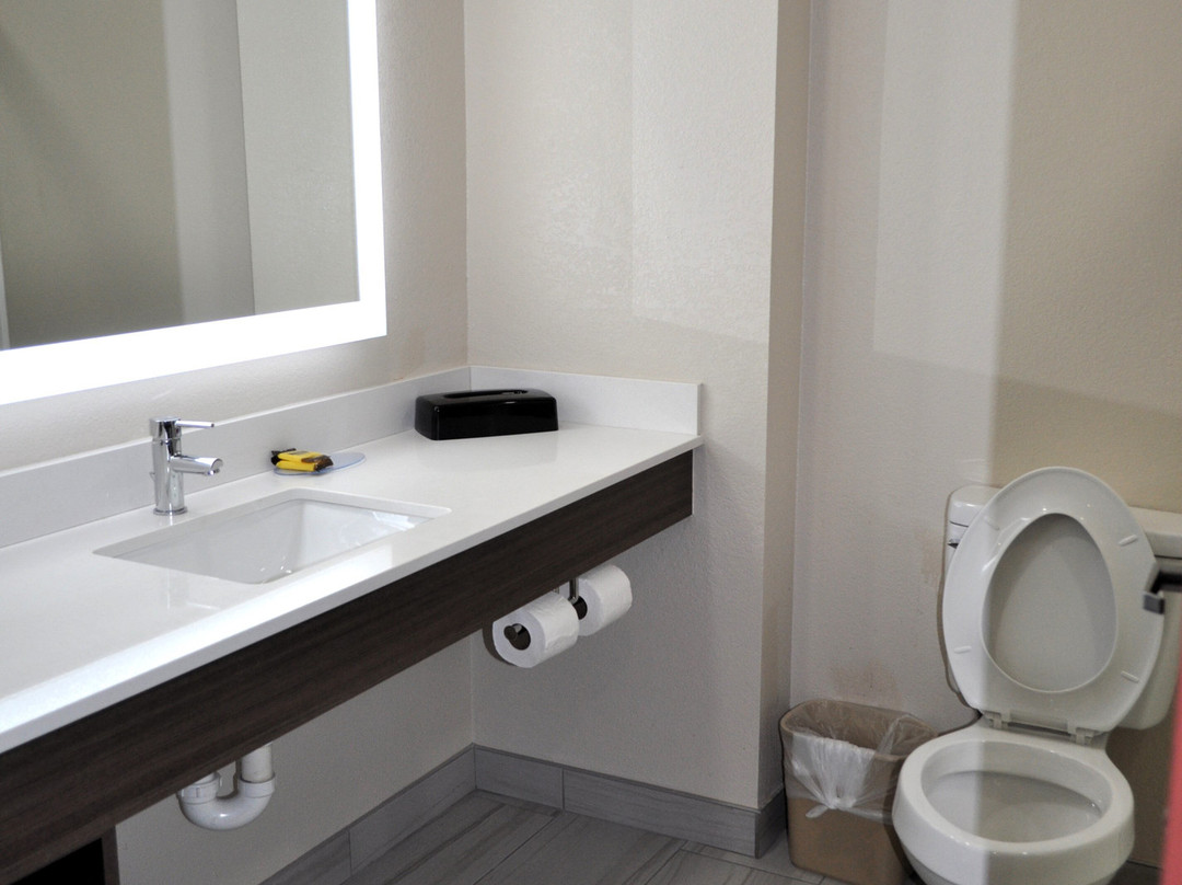 Best Western Plus Memorial Inn & Suites主图