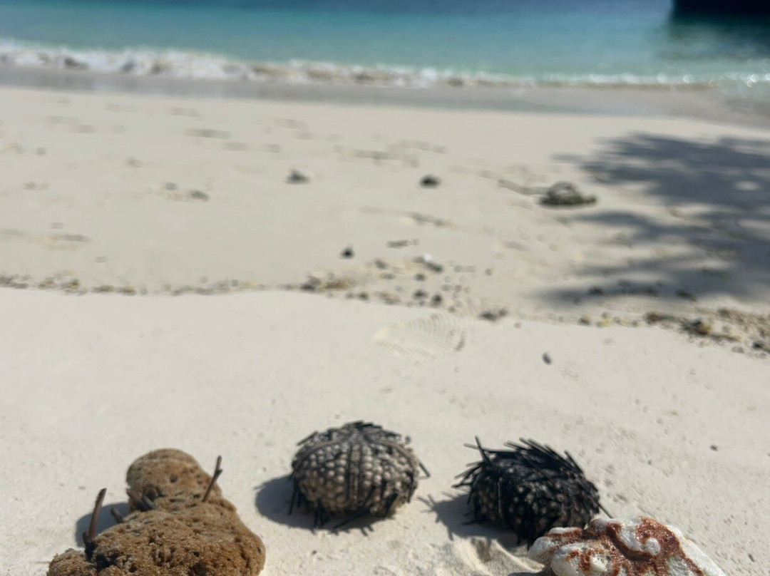 Emerald Bay Resort主图