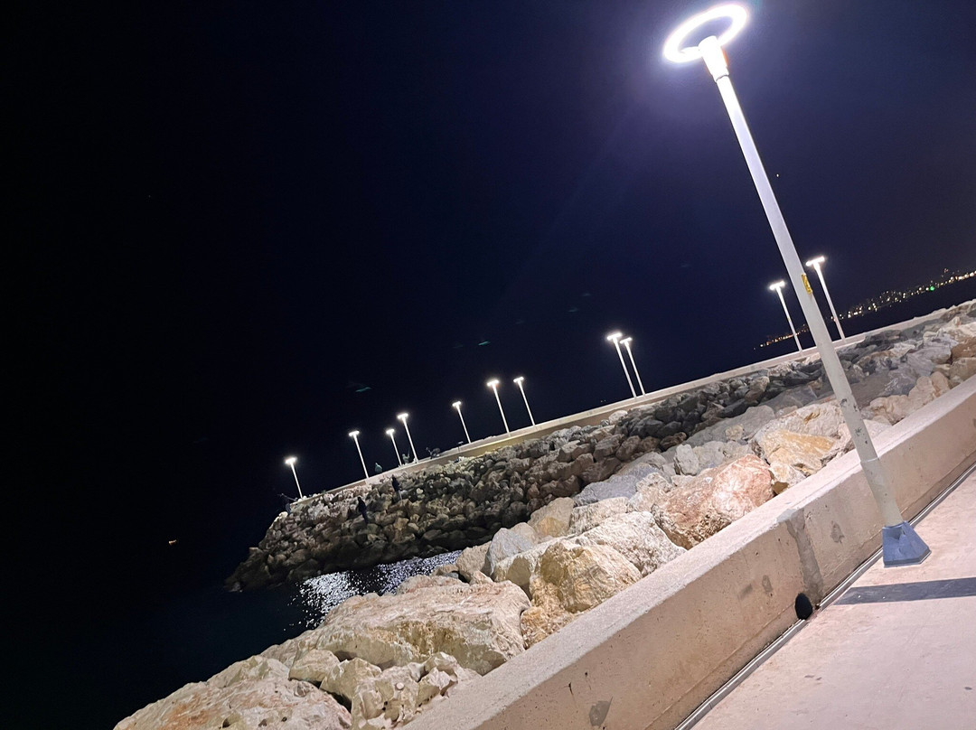 Mersin Marina景点图片