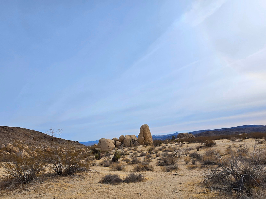 Joshua Tree Visitor Center-约书亚树必去景点