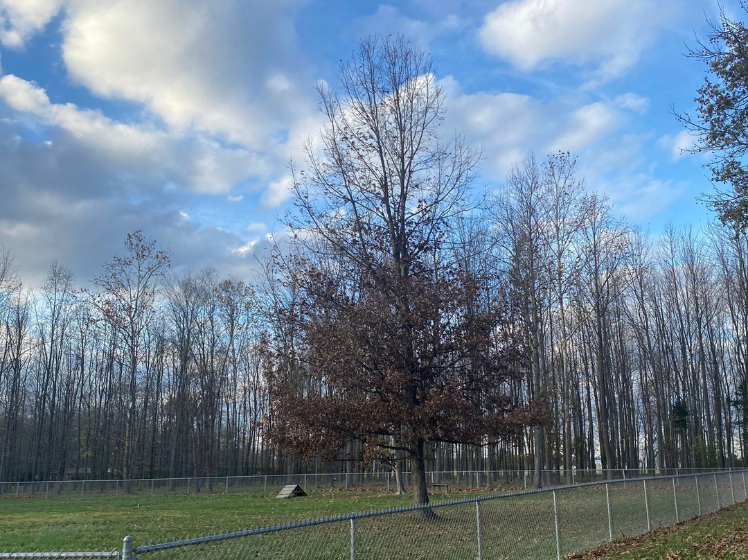 Austin Community Park-Austin必去景点