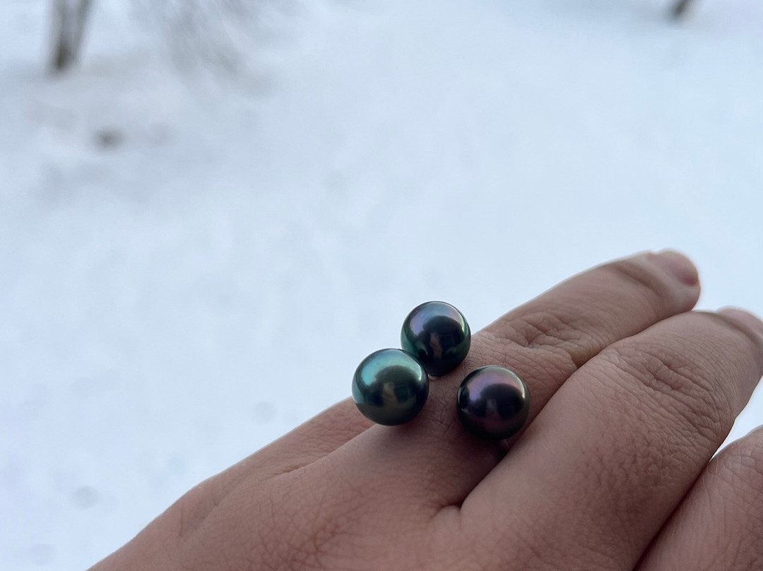 Hokahei Pearl Tahiti Sarl-帕皮提必去景点