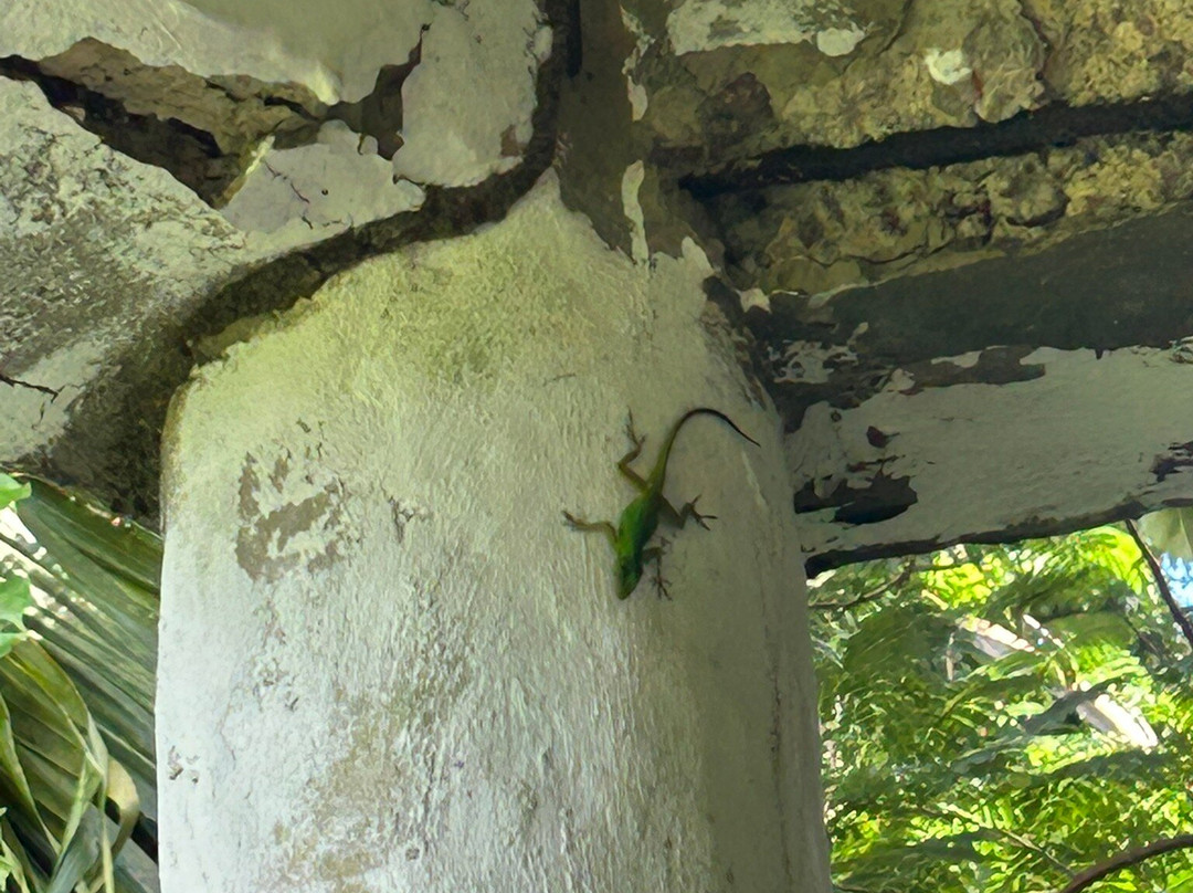 Tainopark-Santa Barbara de Samana必去景点
