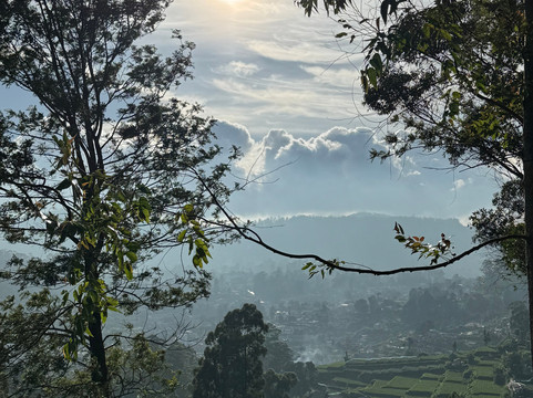 Alokhya Tailormade-科伦坡必去景点