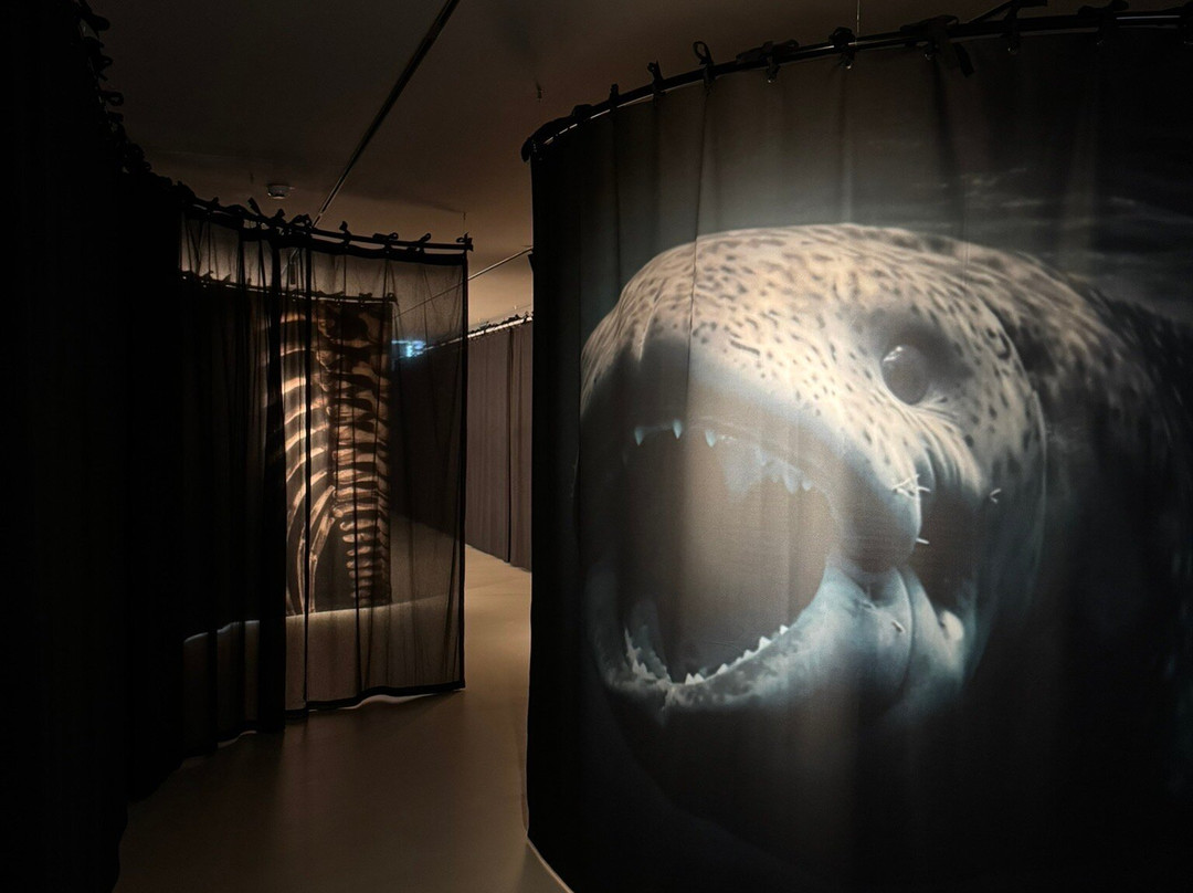 Museum Krona-Uden必去景点