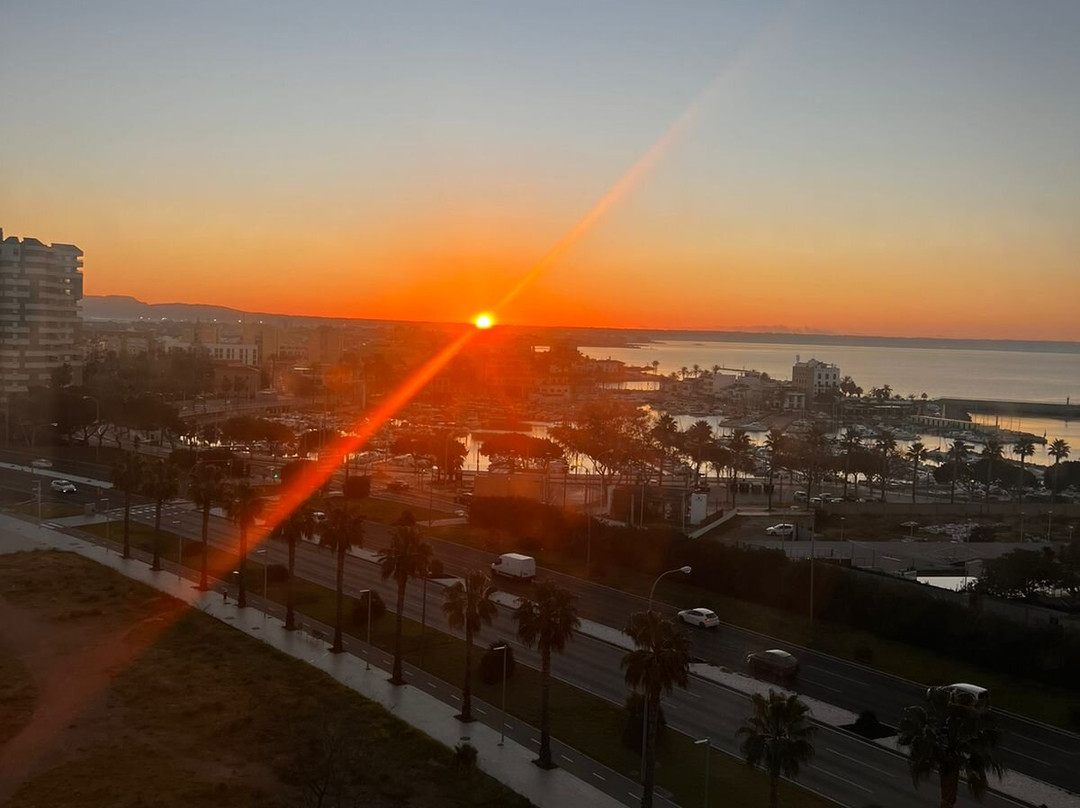 Melia Palma Bay主图