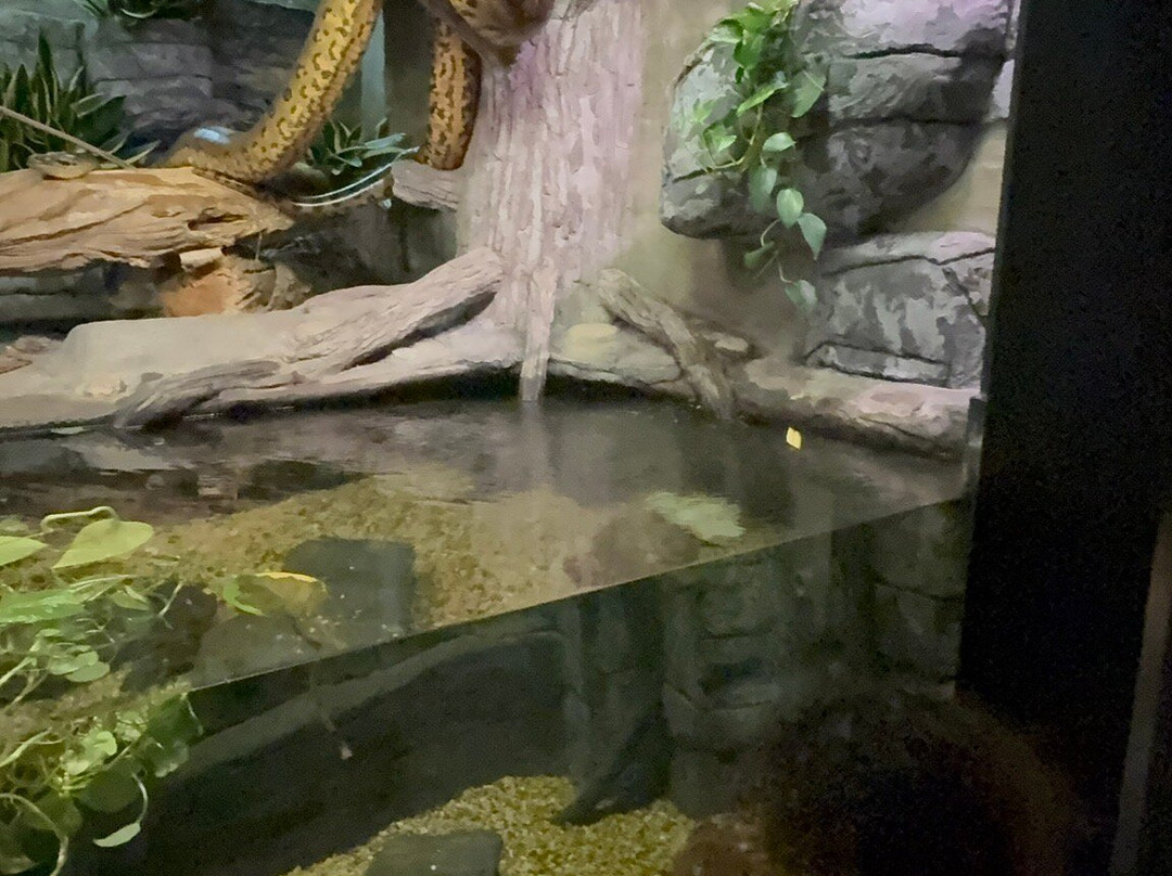 Caldwell Zoo景点图片