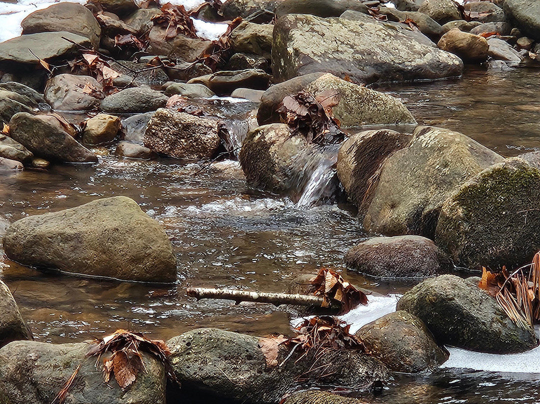 Hickory Run State Park景点图片