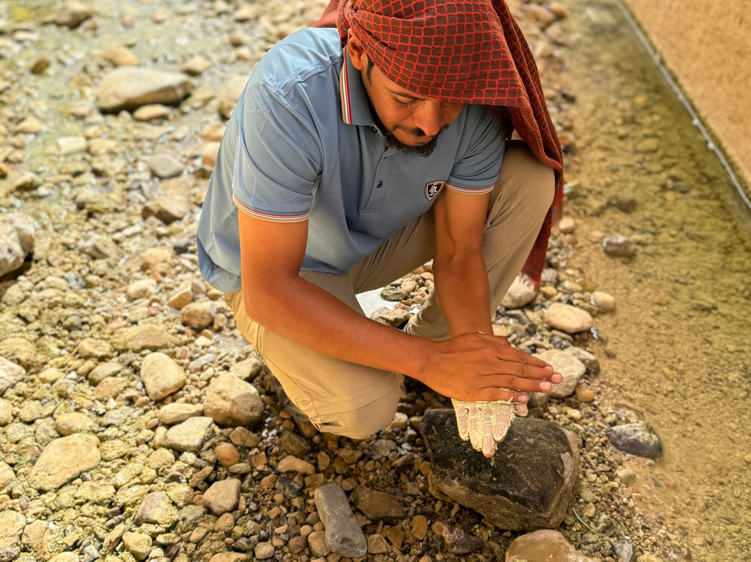 Bedouin Journeys Adventure景点图片