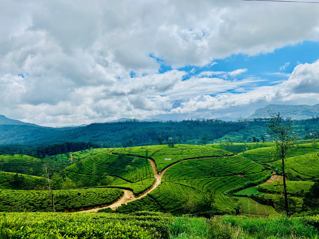 Ayubo Srilanka Tours