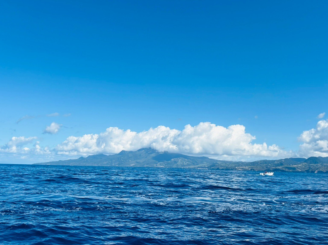 Captain Toch-Le Carbet必去景点