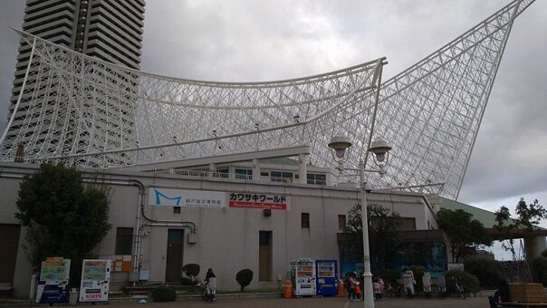 川崎世界博物馆-神户市必去景点