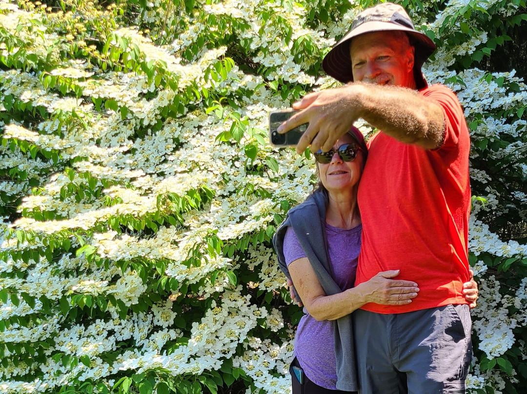 Birdsong Pleasure Garden-卢雷必去景点