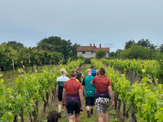 Bike Tours Istria-普拉必去景点