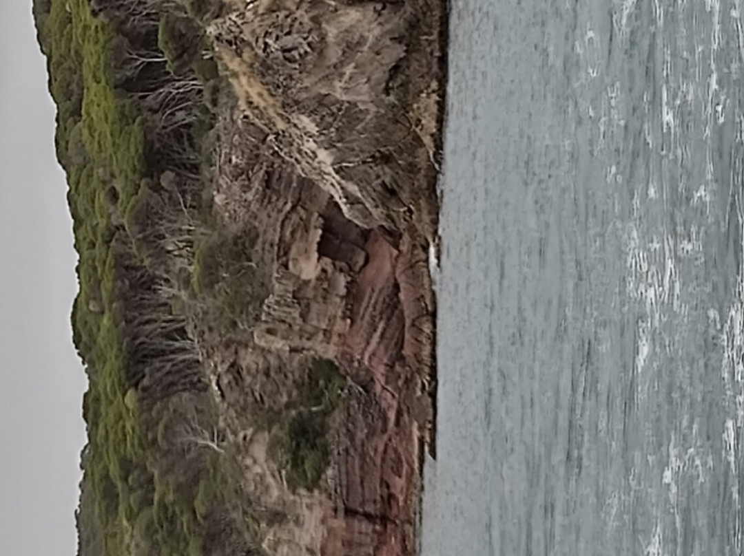 Merimbula Marina-梅林布拉必去景点