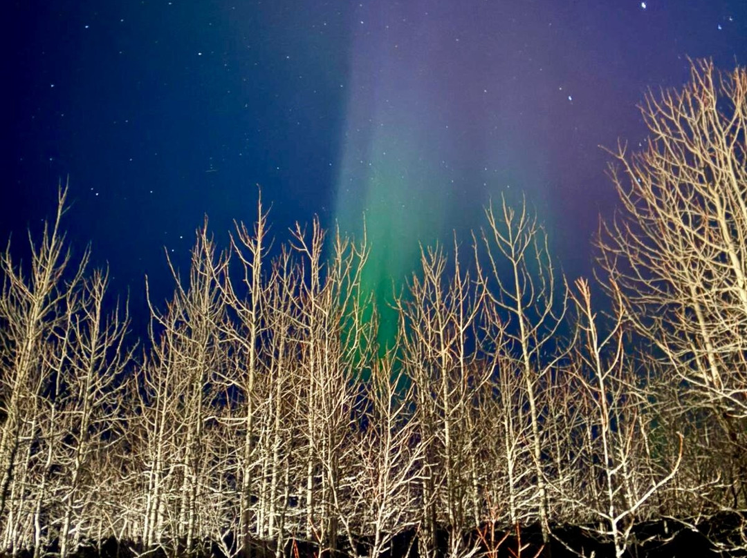 Adventure Lapland-Jukkasjarvi必去景点