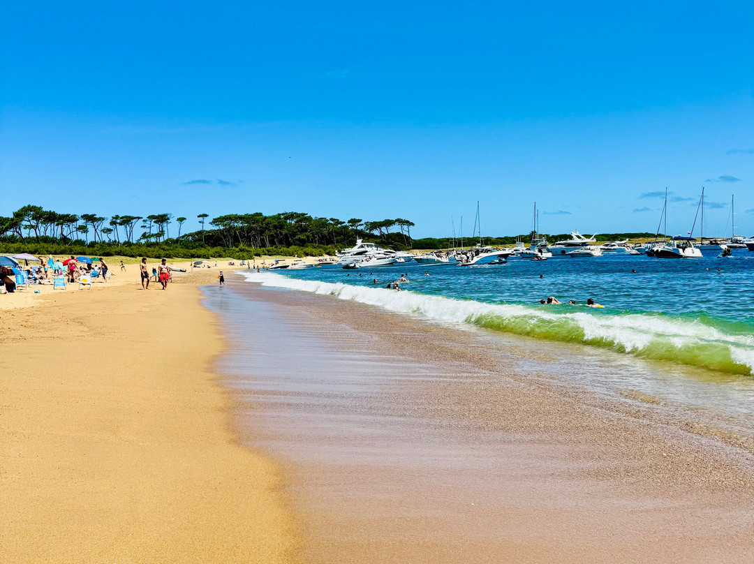 Isla Gorriti-Maldonado必去景点