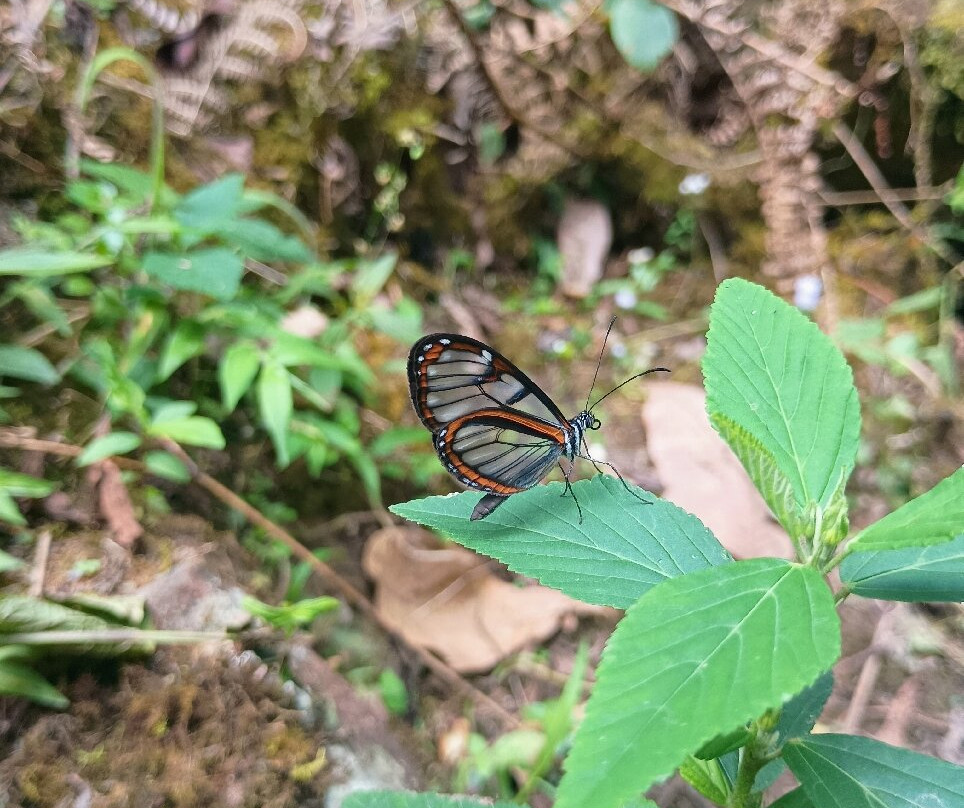 Cascada Las Tinajas-Zetaquira必去景点