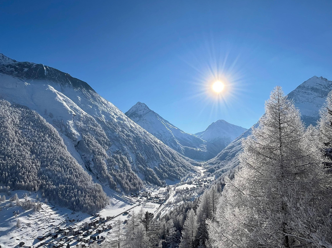 Waldhotel Fletschhorn主图