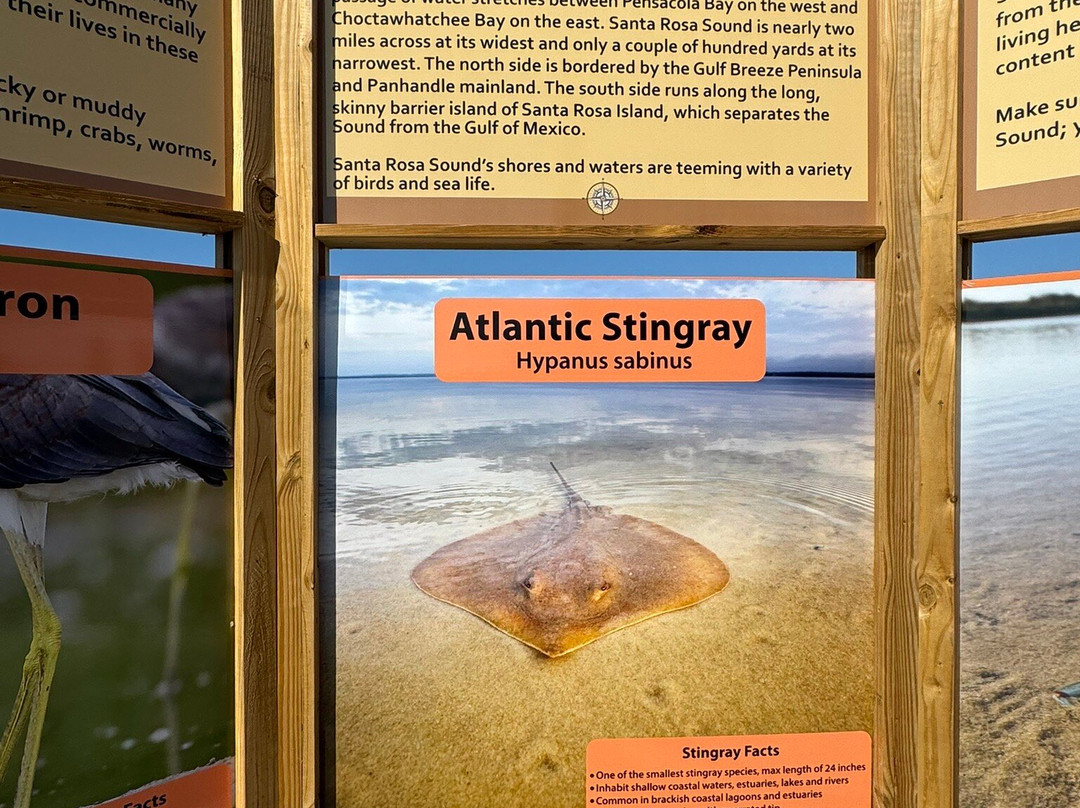 Navarre Beach Sea Turtle Conservation Center景点图片