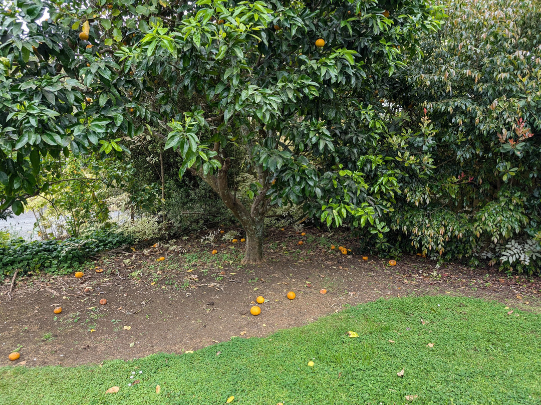 考利公园汽车旅馆主图