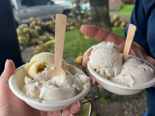 Unique Maui Tours-毛伊岛必去景点