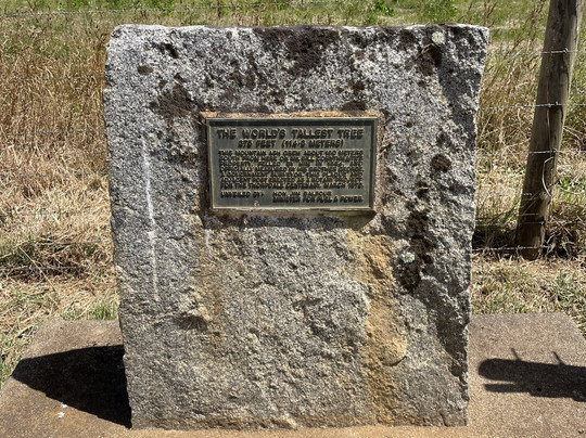Site Of The World's Tallest Tree-Thorpdale必去景点
