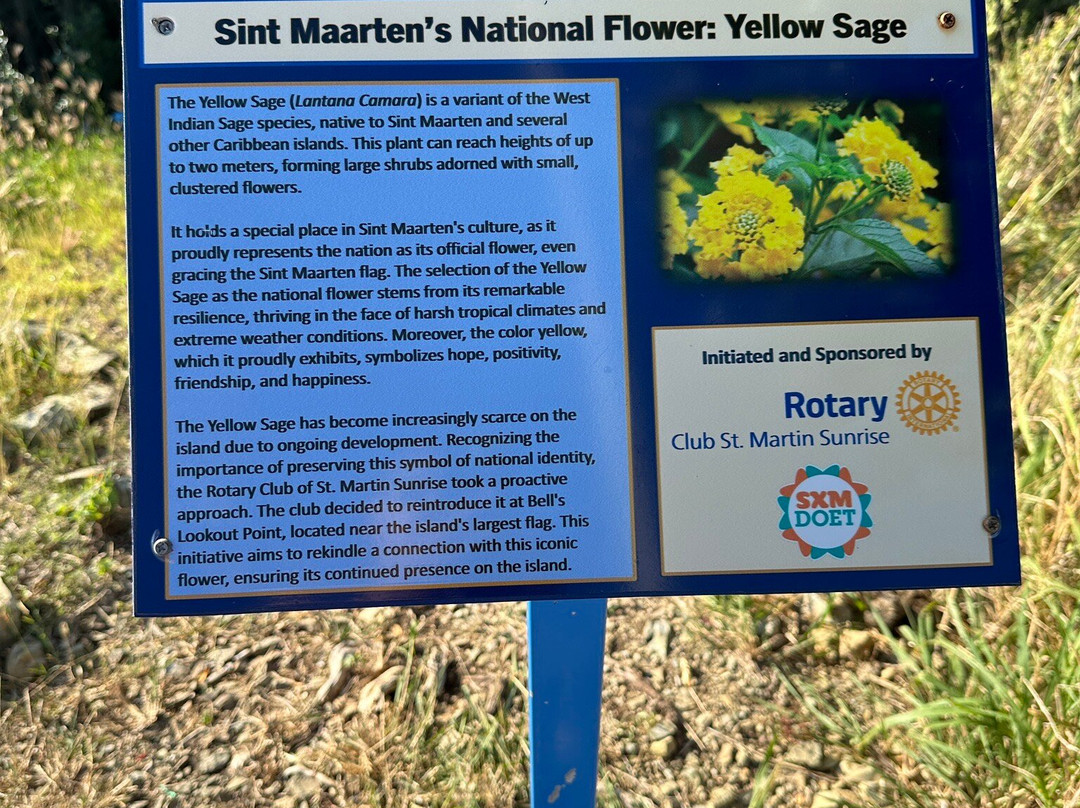 Cole Bay Hill-菲利普斯堡必去景点