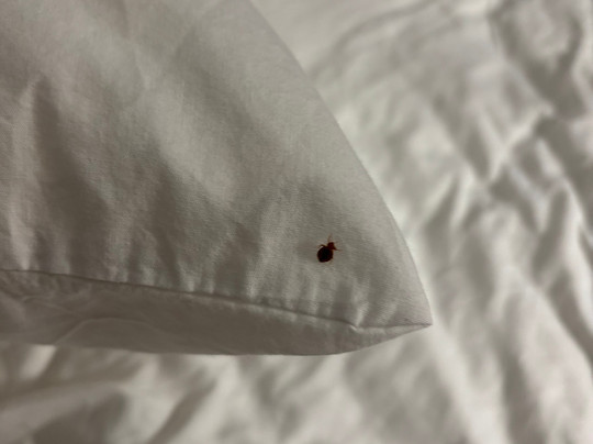 Comfort Suites Near Casinos主图