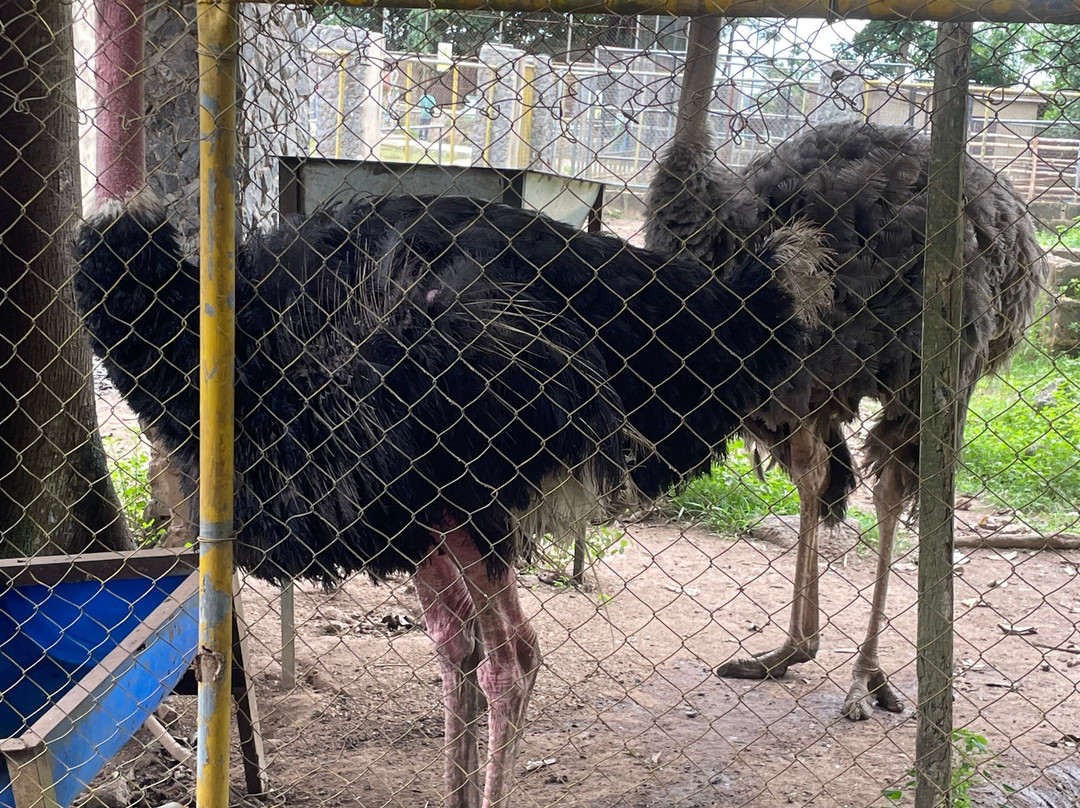 绿色遗产度假村主图