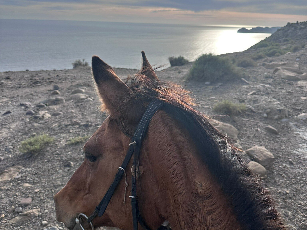 Cabacci Horse Trails景点图片