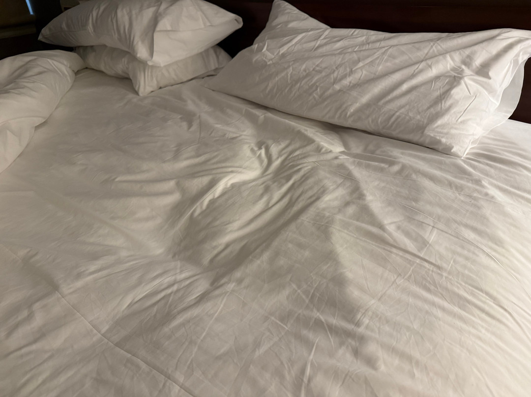 指挥官喜来登酒店主图