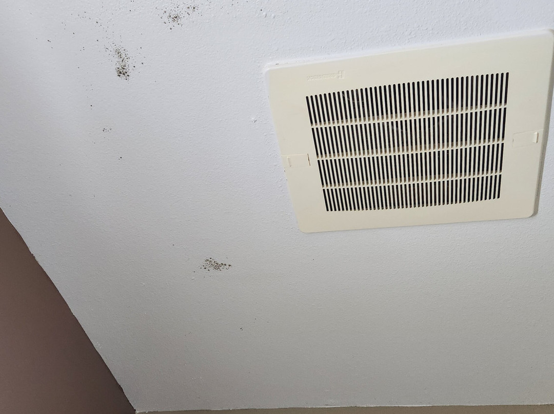 佩利麦克罗特客栈&套房酒店主图