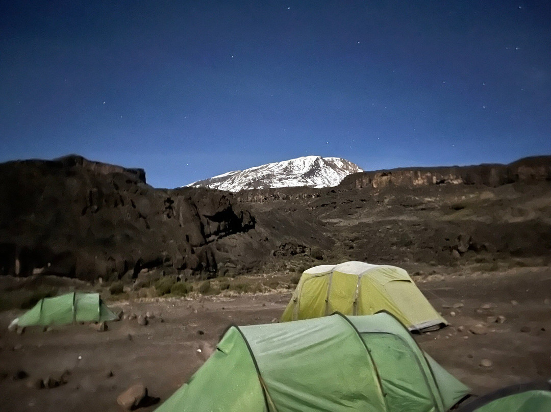 Team Kilimanjaro-阿鲁沙必去景点