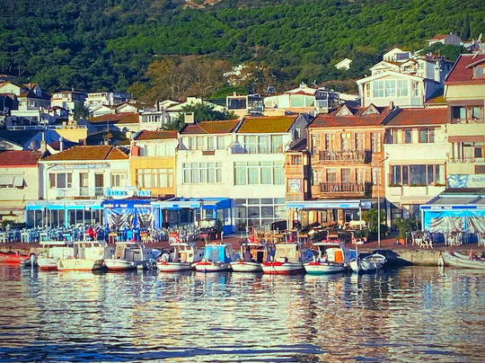 Heybeliada旅游景点-Burgazada