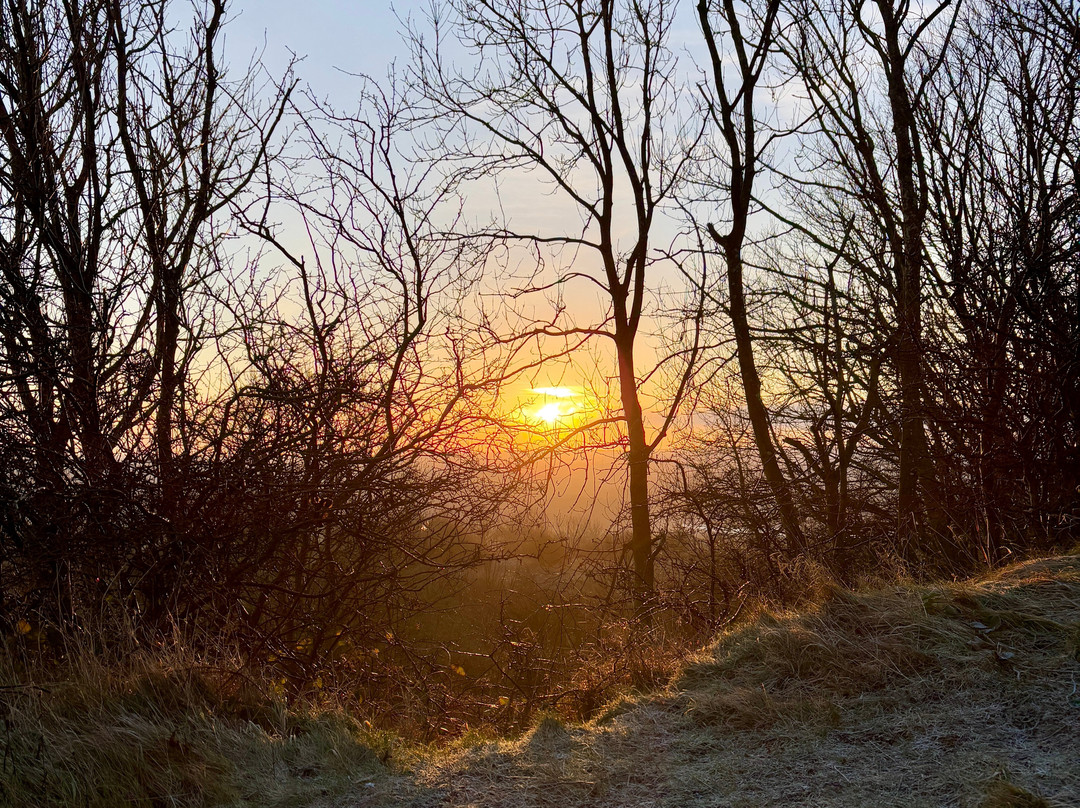 Penshaw Monument-Houghton-le-Spring必去景点