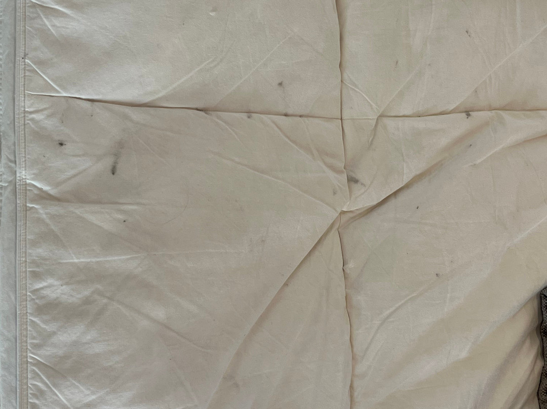 Holden Manz Country House主图