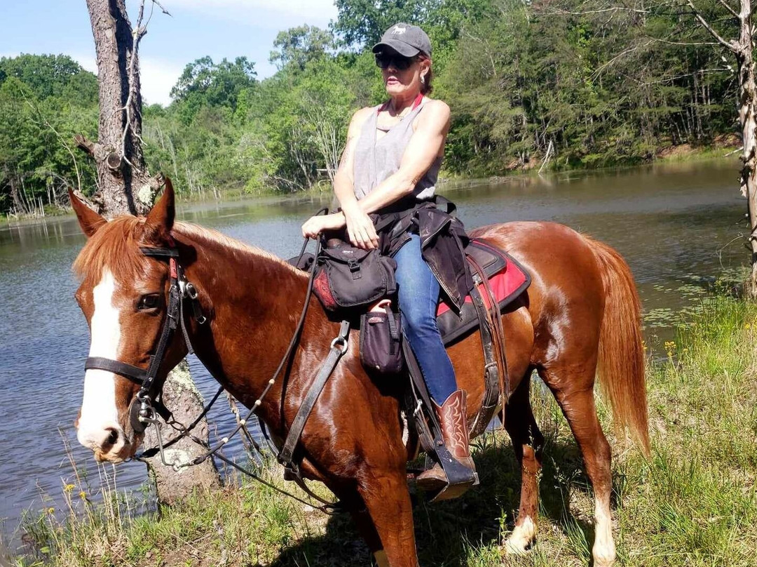 East Fork Stables-Jamestown必去景点